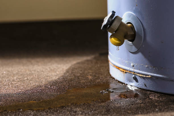 Best Sewage cleanup and water damage restoration  in Ponderosa Pine, NM