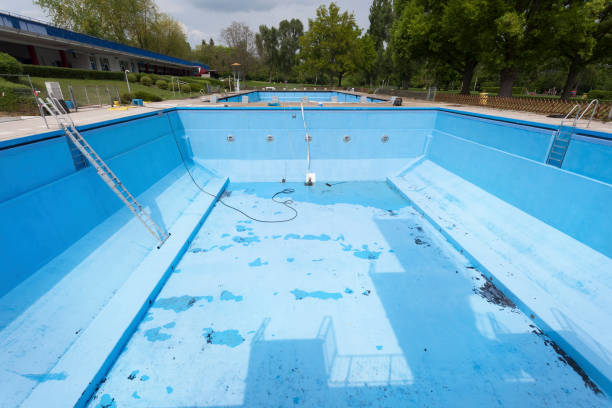 Best Mold removal after water damage  in Ponderosa Pine, NM