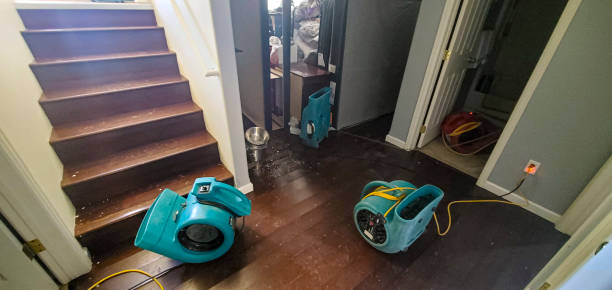 Best Ceiling water damage repair  in Ponderosa Pine, NM