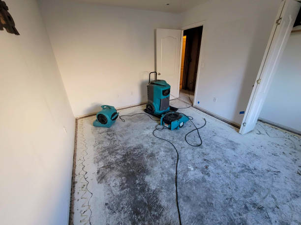  Ponderosa Pine, NM Water damage restoration Pros