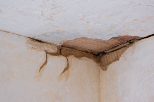 Best Water damage mitigation services  in Ponderosa Pine, NM