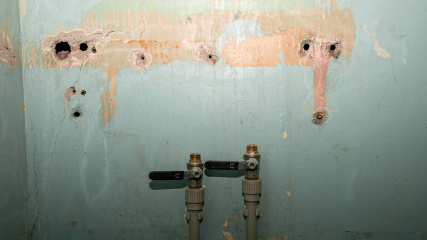 Best Professional water damage repair  in Ponderosa Pine, NM