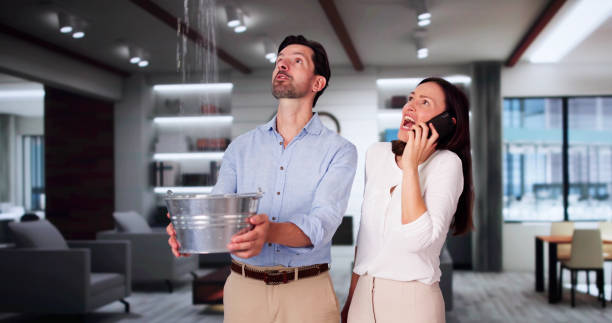 Best Flooded house restoration  in Ponderosa Pine, NM