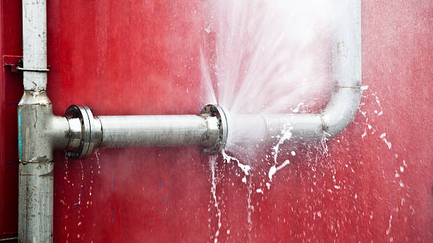 Reliable NM Water damage restoration Solutions