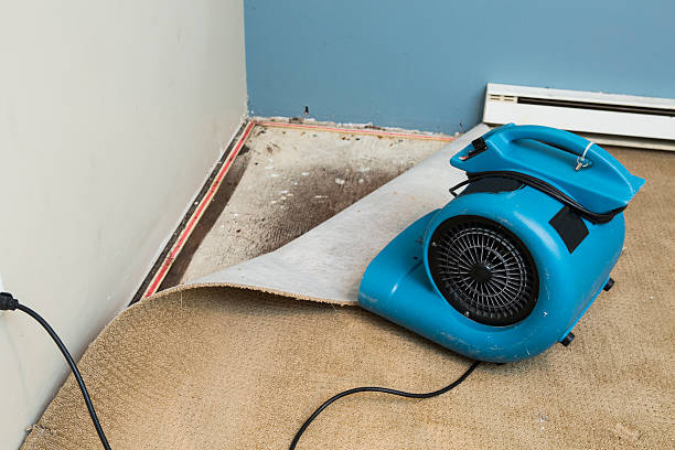 Best Flood damage cleanup  in Ponderosa Pine, NM